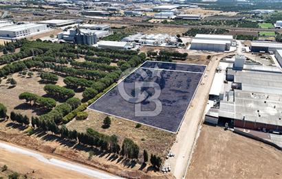 Kemalpaşa OSB'de 13 Dönüm Satılık Sanayi İmarlı Arsa