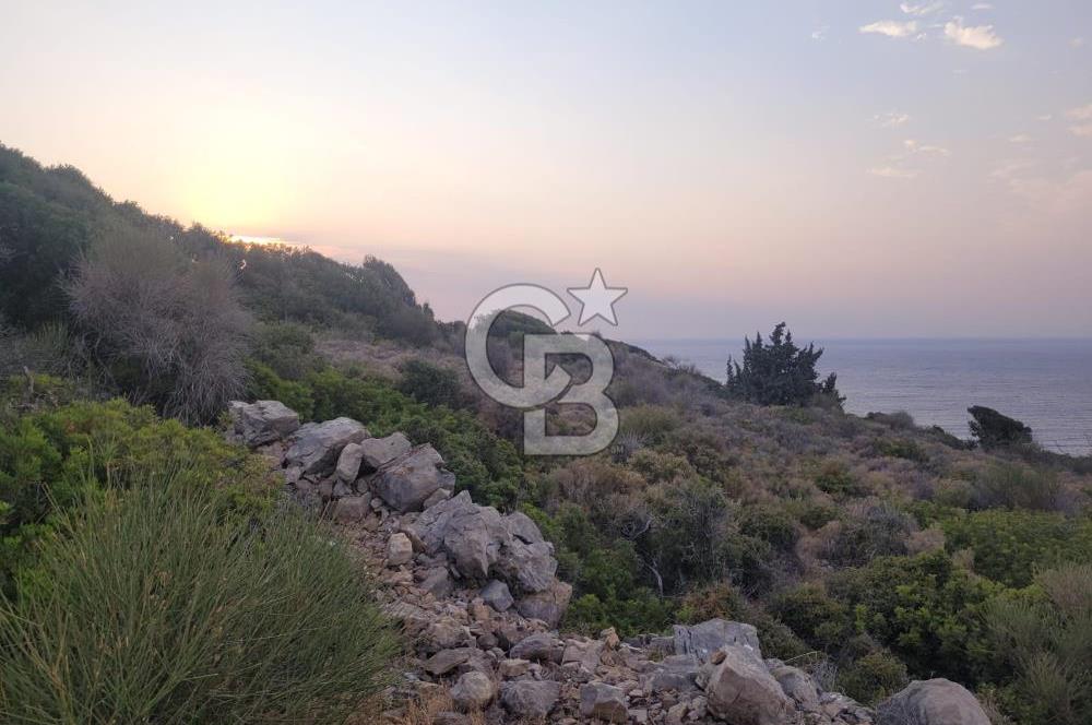 Karaburun Tepeboz da Satılık Full Deniz Manzaralı Tarla