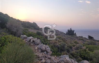 Karaburun Tepeboz da Satılık Full Deniz Manzaralı Tarla