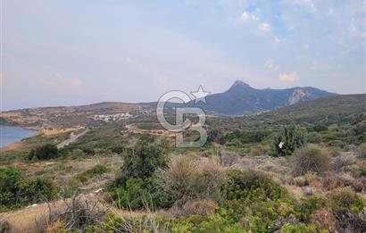 Karaburun Tepeboz da Satılık Full Deniz Manzaralı Tarla