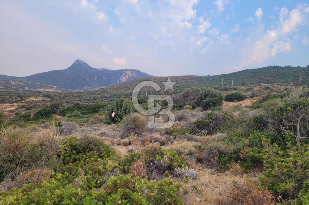 Karaburun Tepeboz da Satılık Full Deniz Manzaralı Tarla