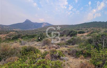 Karaburun Tepeboz da Satılık Full Deniz Manzaralı Tarla