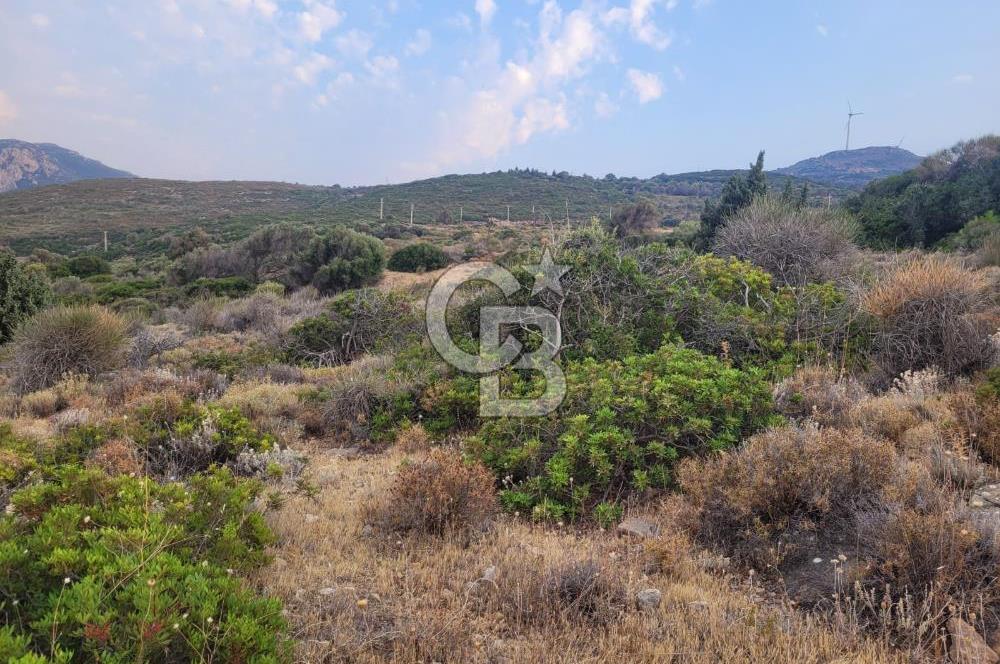 Karaburun Tepeboz da Satılık Full Deniz Manzaralı Tarla