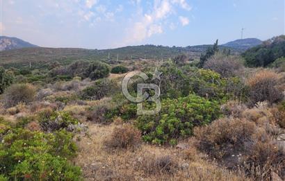 Karaburun Tepeboz da Satılık Full Deniz Manzaralı Tarla
