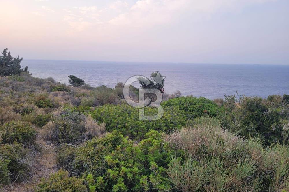 Karaburun Tepeboz da Satılık Full Deniz Manzaralı Tarla