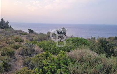 Karaburun Tepeboz da Satılık Full Deniz Manzaralı Tarla