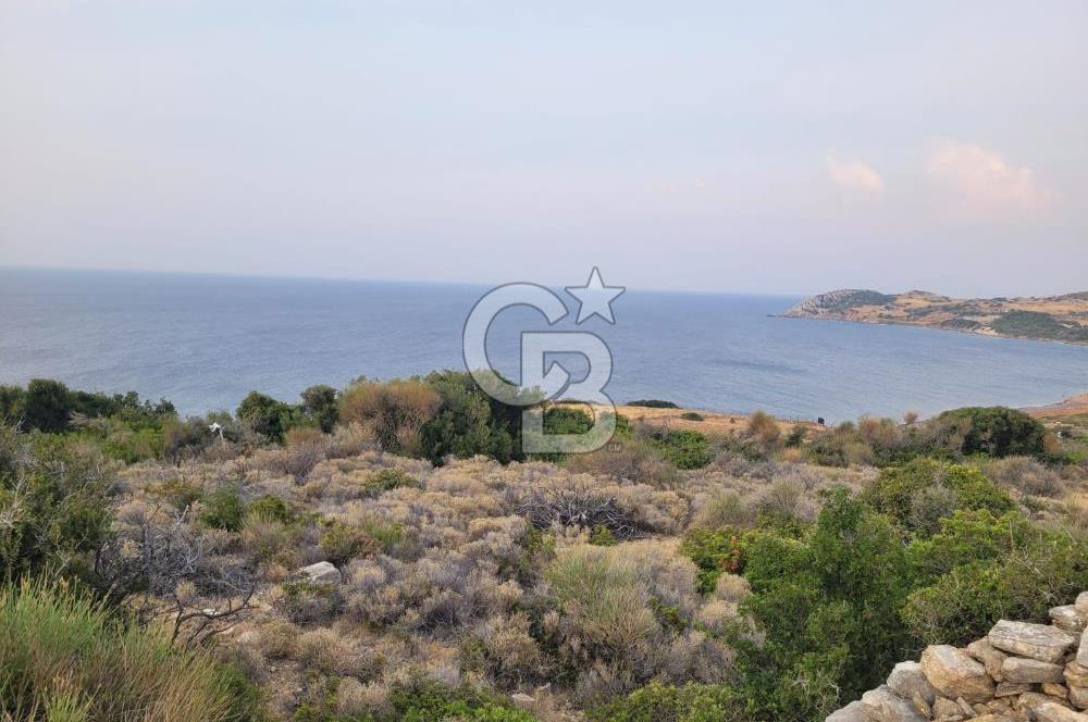 Karaburun Tepeboz da Satılık Full Deniz Manzaralı Tarla