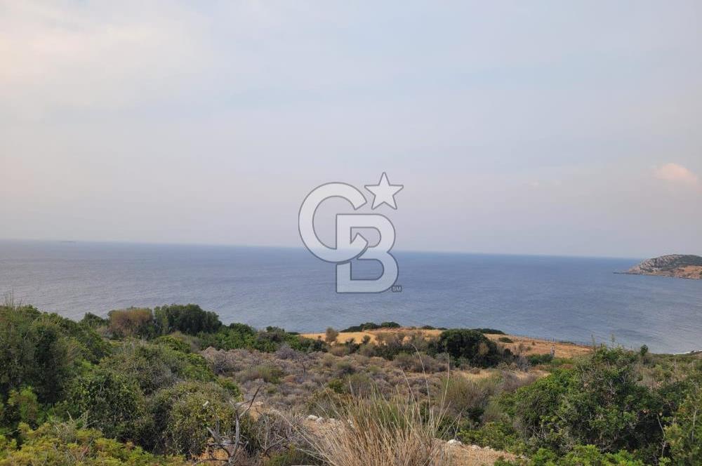 Karaburun Tepeboz da Satılık Full Deniz Manzaralı Tarla