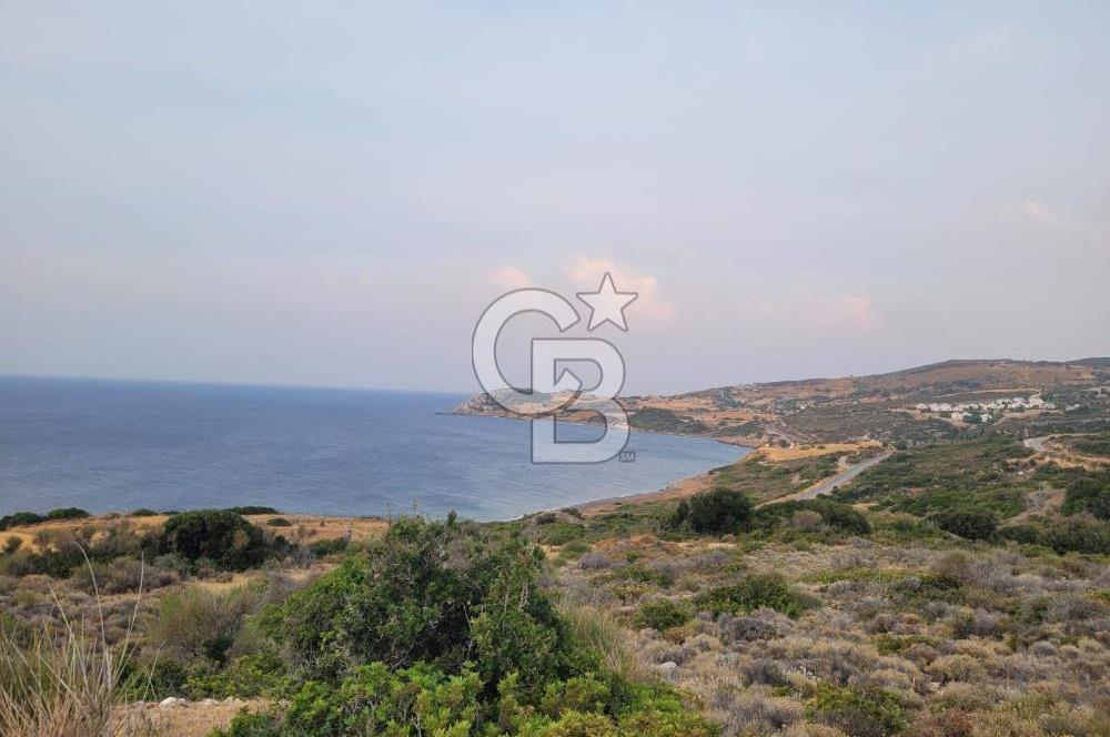 Karaburun Tepeboz da Satılık Full Deniz Manzaralı Tarla
