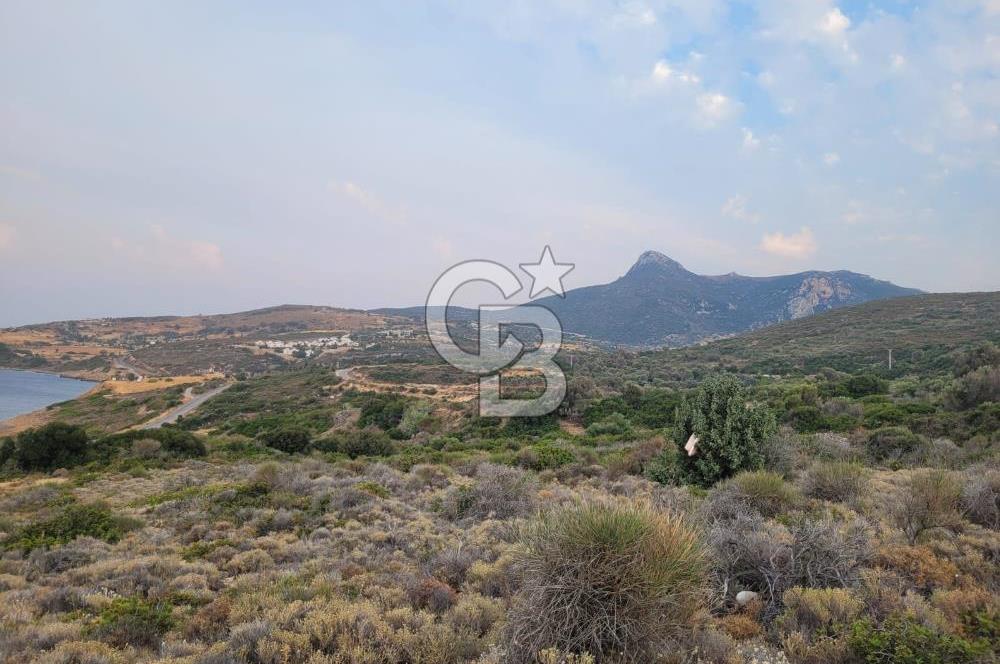 Karaburun Tepeboz da Satılık Full Deniz Manzaralı Tarla