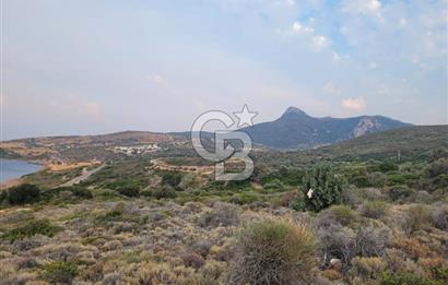 Karaburun Tepeboz da Satılık Full Deniz Manzaralı Tarla