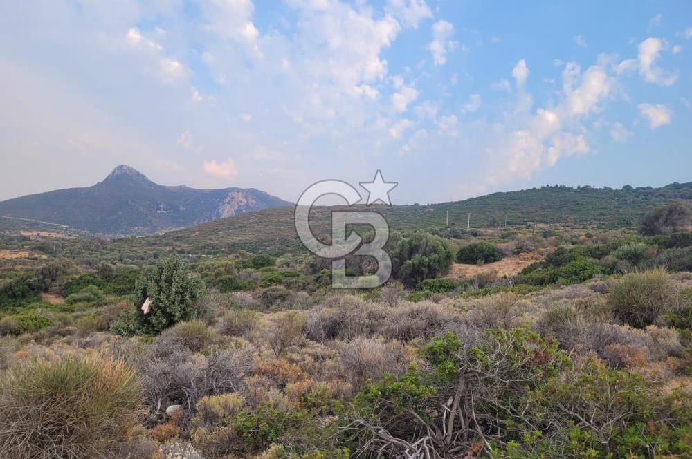 Karaburun Tepeboz da Satılık Full Deniz Manzaralı Tarla