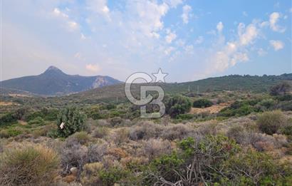 Karaburun Tepeboz da Satılık Full Deniz Manzaralı Tarla
