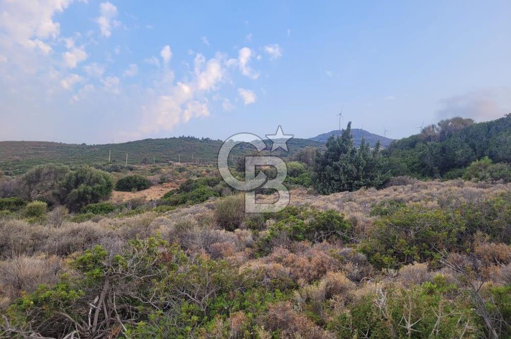 Karaburun Tepeboz da Satılık Full Deniz Manzaralı Tarla