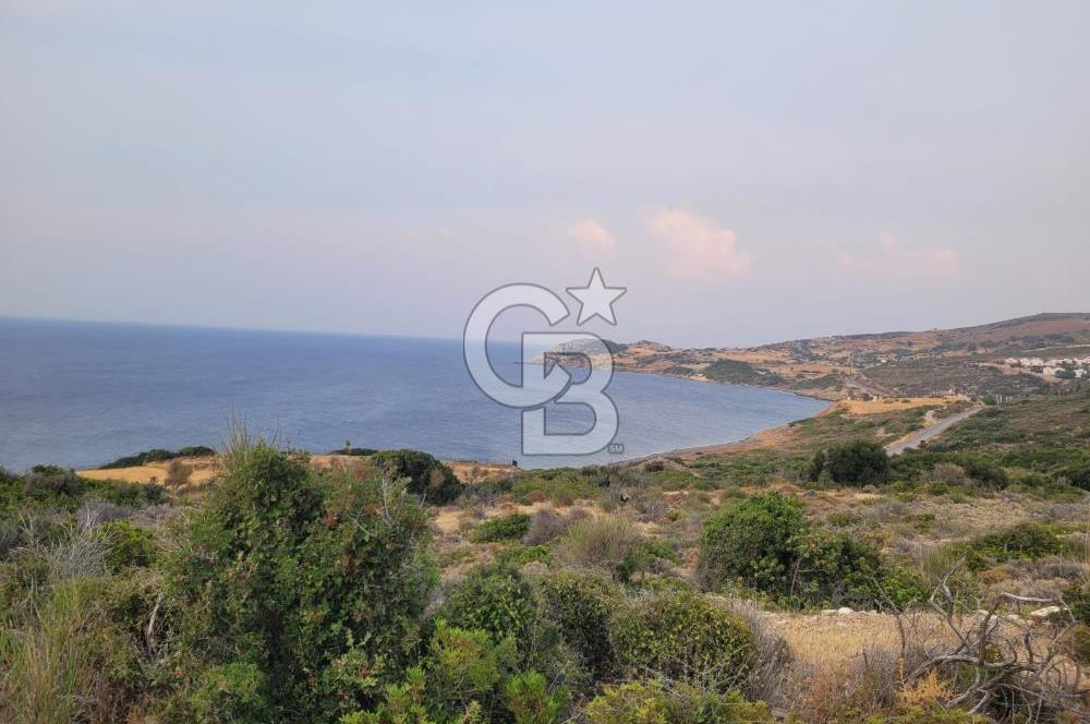 Karaburun Tepeboz da Satılık Full Deniz Manzaralı Tarla