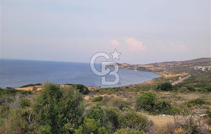 Karaburun Tepeboz da Satılık Full Deniz Manzaralı Tarla
