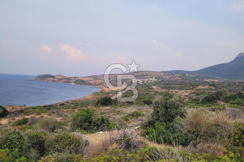 Karaburun Tepeboz da Satılık Full Deniz Manzaralı Tarla