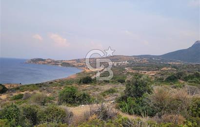 Karaburun Tepeboz da Satılık Full Deniz Manzaralı Tarla