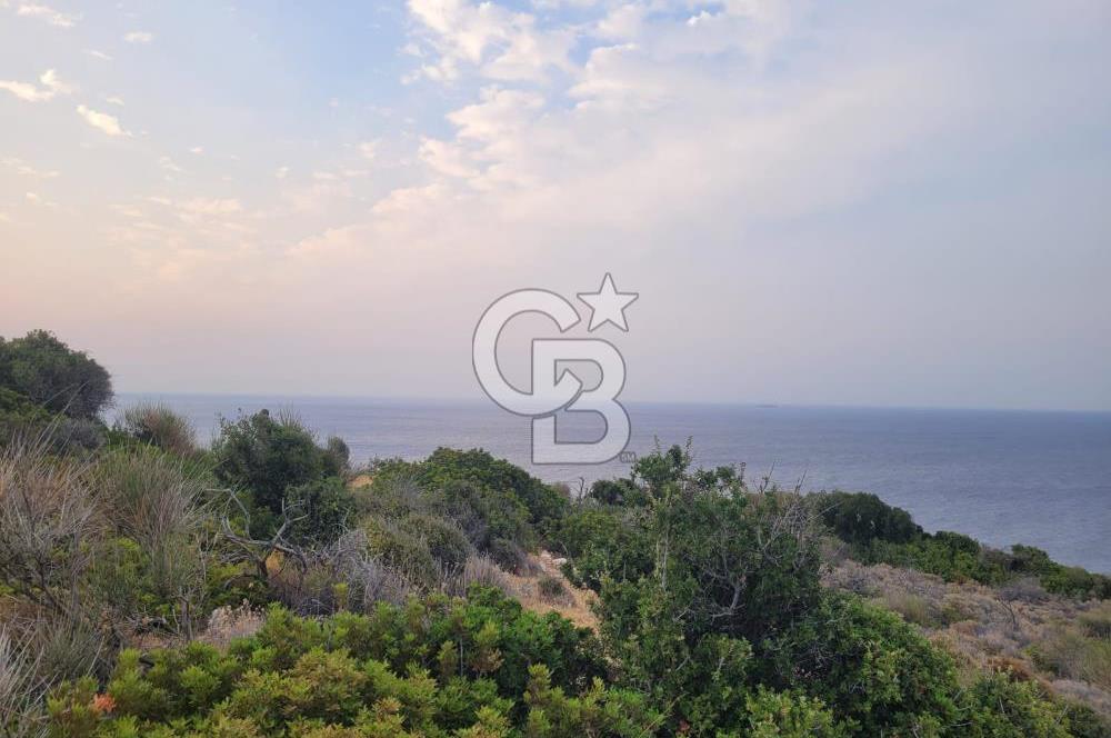 Karaburun Tepeboz da Satılık Full Deniz Manzaralı Tarla