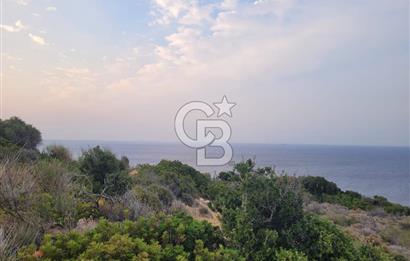 Karaburun Tepeboz da Satılık Full Deniz Manzaralı Tarla