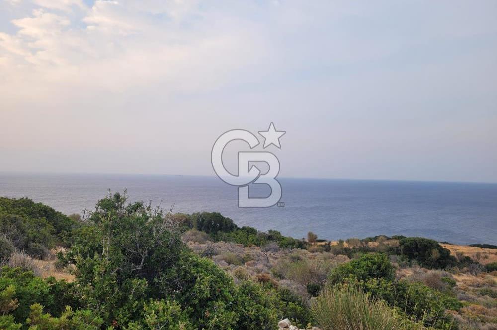 Karaburun Tepeboz da Satılık Full Deniz Manzaralı Tarla
