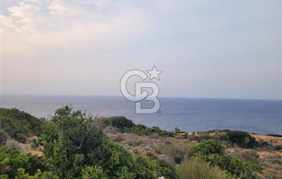 Karaburun Tepeboz da Satılık Full Deniz Manzaralı Tarla