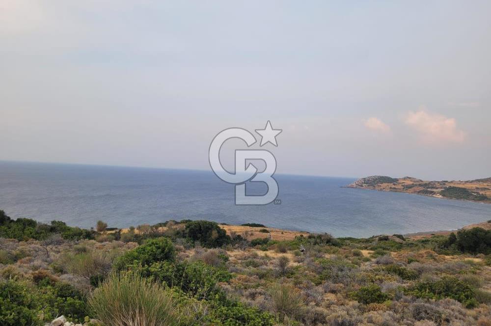 Karaburun Tepeboz da Satılık Full Deniz Manzaralı Tarla