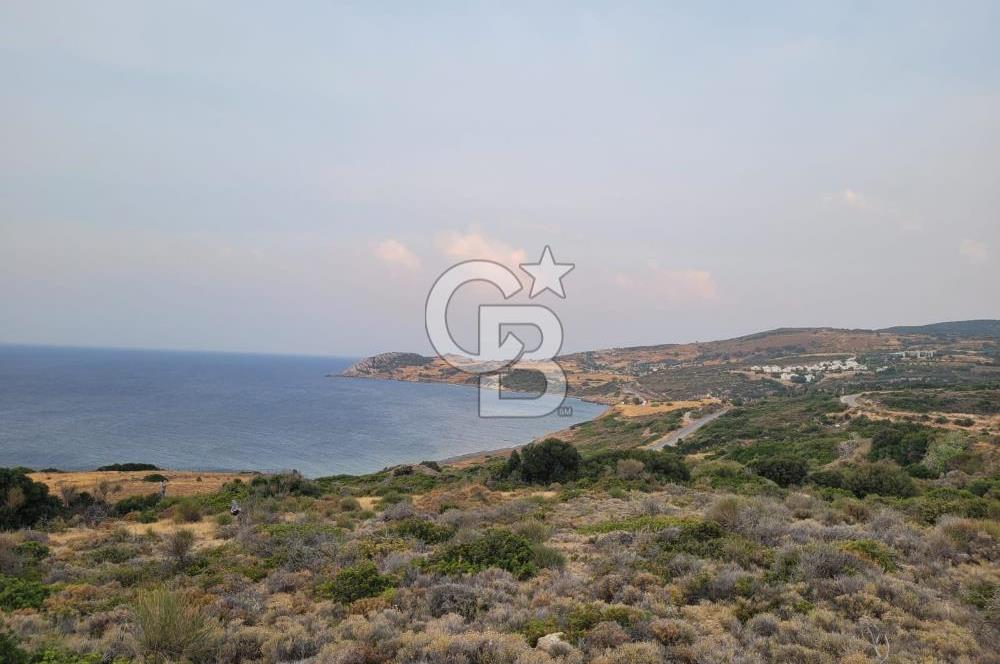 Karaburun Tepeboz da Satılık Full Deniz Manzaralı Tarla