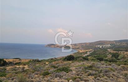 Karaburun Tepeboz da Satılık Full Deniz Manzaralı Tarla