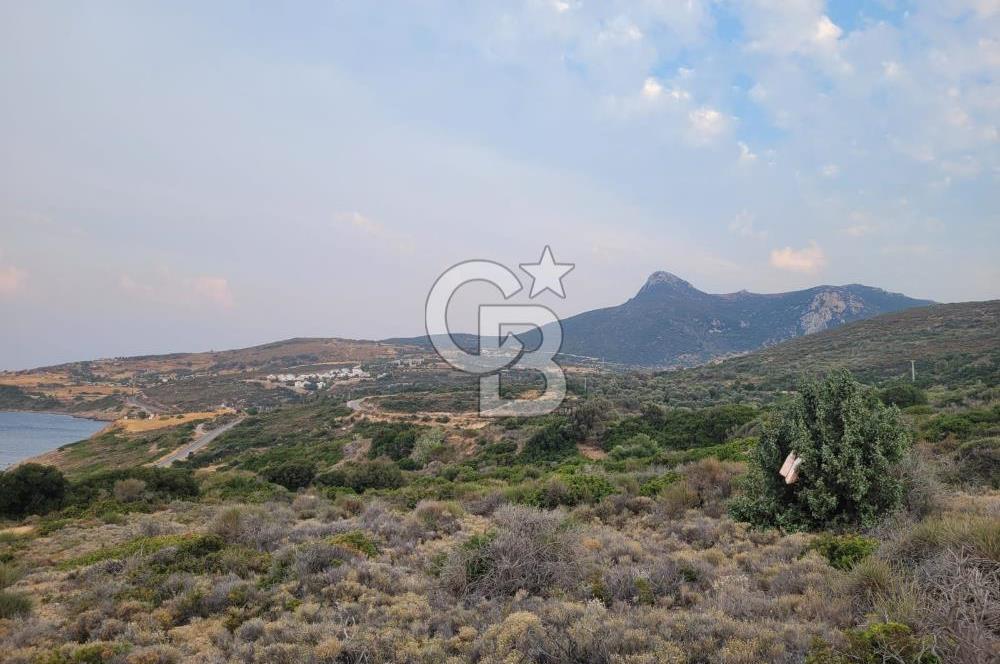 Karaburun Tepeboz da Satılık Full Deniz Manzaralı Tarla