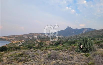 Karaburun Tepeboz da Satılık Full Deniz Manzaralı Tarla