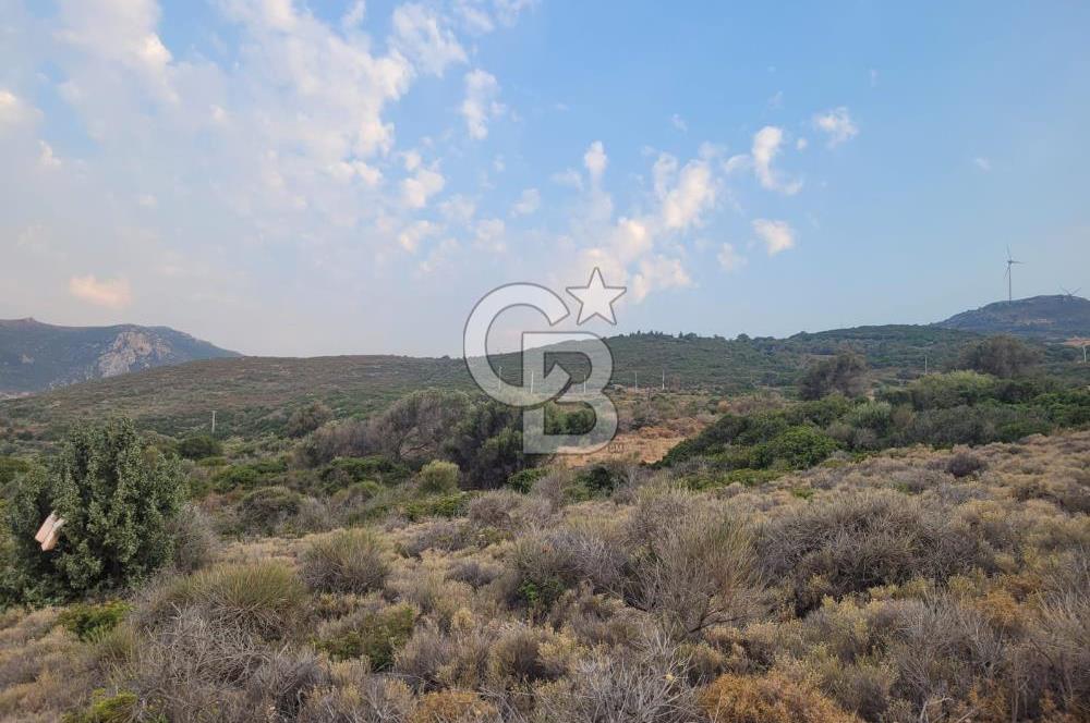 Karaburun Tepeboz da Satılık Full Deniz Manzaralı Tarla