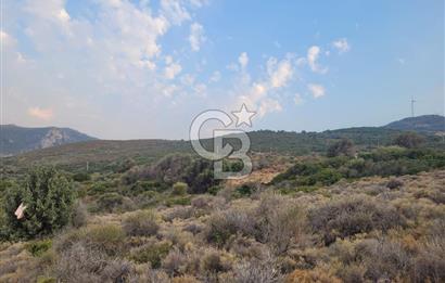 Karaburun Tepeboz da Satılık Full Deniz Manzaralı Tarla