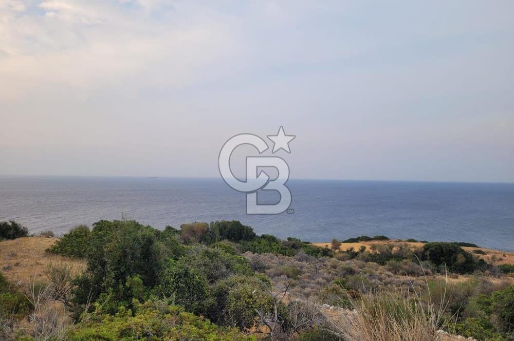 Karaburun Tepeboz da Satılık Full Deniz Manzaralı Tarla