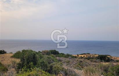 Karaburun Tepeboz da Satılık Full Deniz Manzaralı Tarla