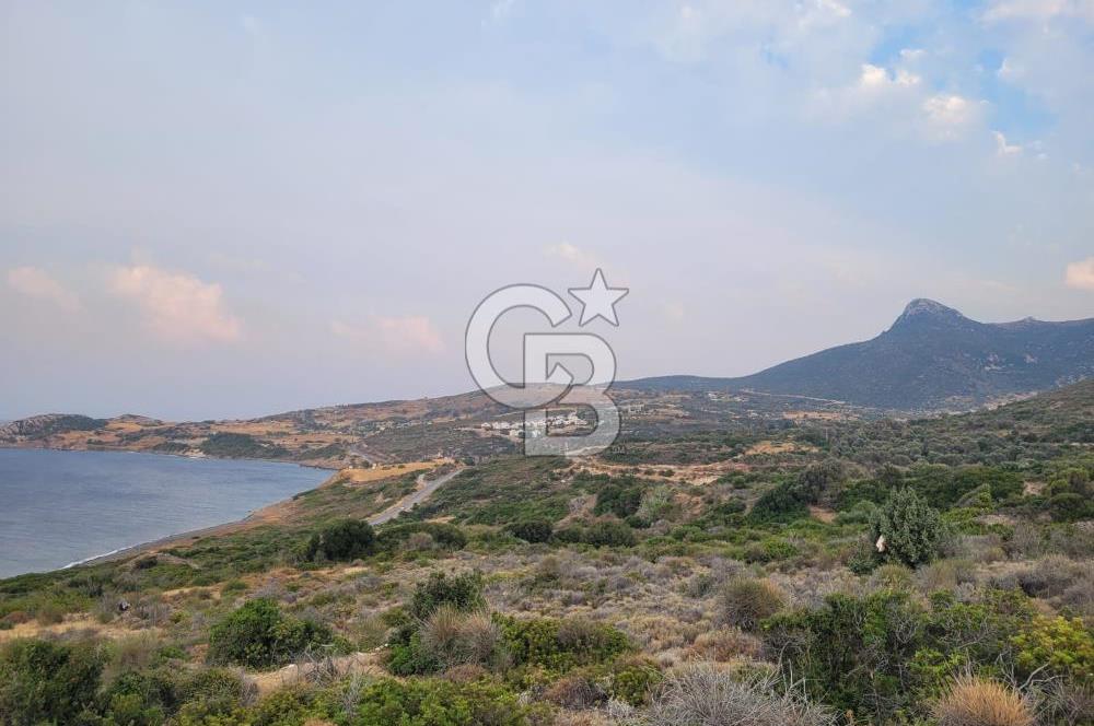 Karaburun Tepeboz da Satılık Full Deniz Manzaralı Tarla