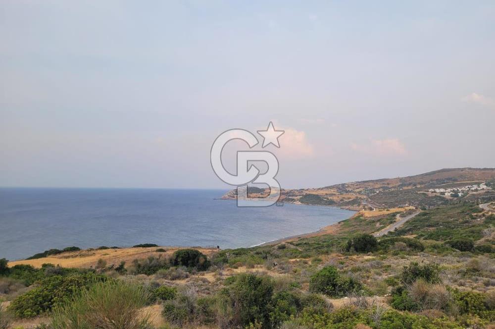 Karaburun Tepeboz da Satılık Full Deniz Manzaralı Tarla