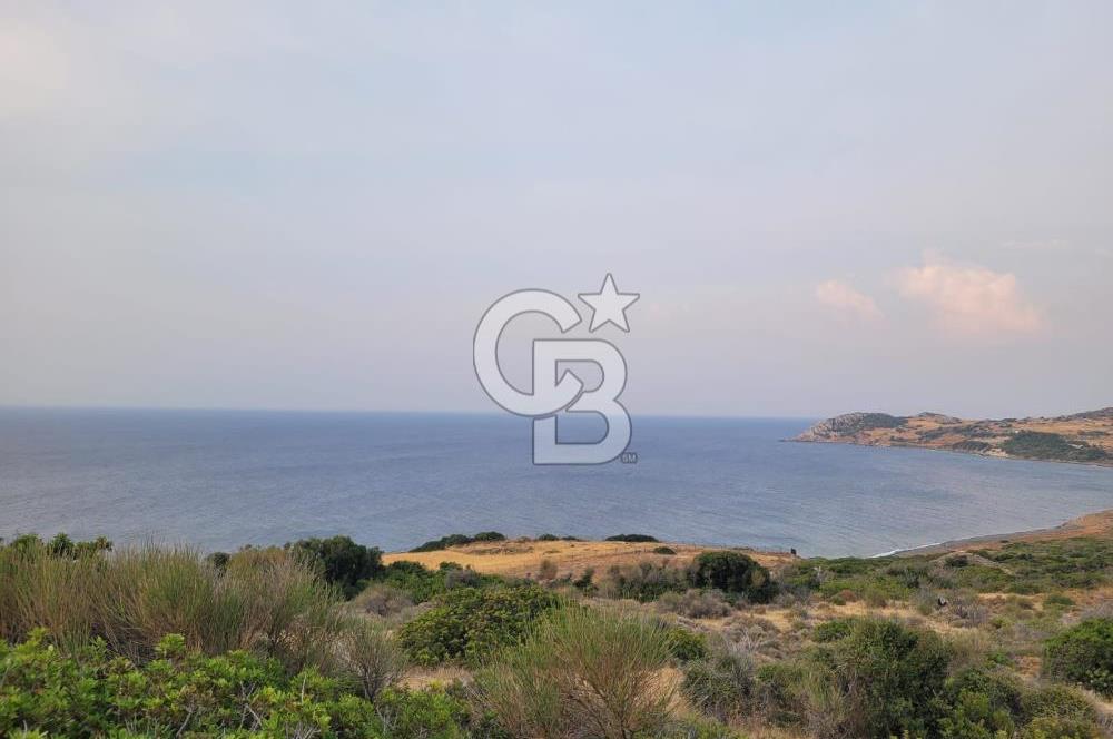 Karaburun Tepeboz da Satılık Full Deniz Manzaralı Tarla