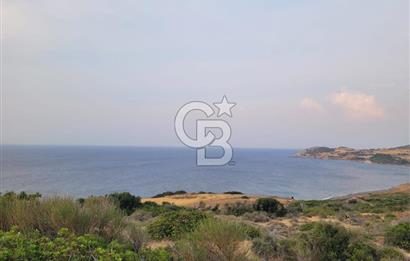 Karaburun Tepeboz da Satılık Full Deniz Manzaralı Tarla