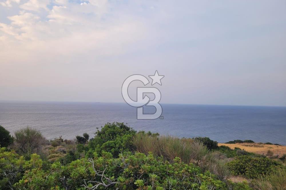 Karaburun Tepeboz da Satılık Full Deniz Manzaralı Tarla