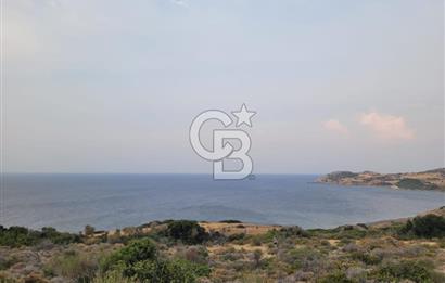 Karaburun Tepeboz da Satılık Full Deniz Manzaralı Tarla