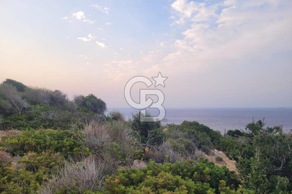 Karaburun Tepeboz da Satılık Full Deniz Manzaralı Tarla