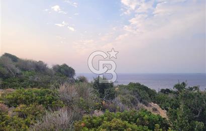 Karaburun Tepeboz da Satılık Full Deniz Manzaralı Tarla