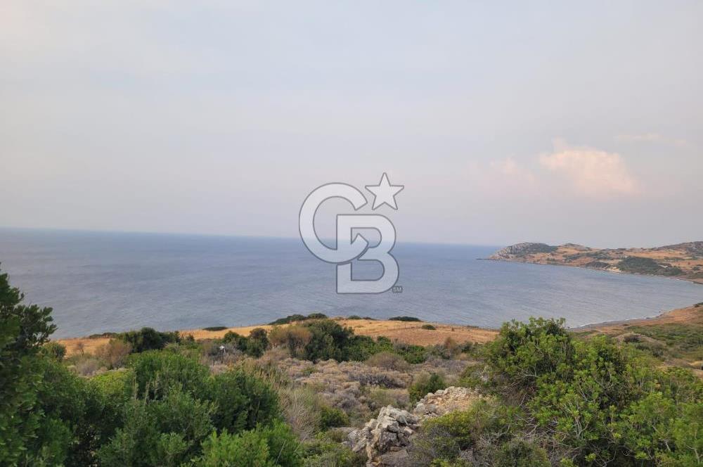 Karaburun Tepeboz da Satılık Full Deniz Manzaralı Tarla