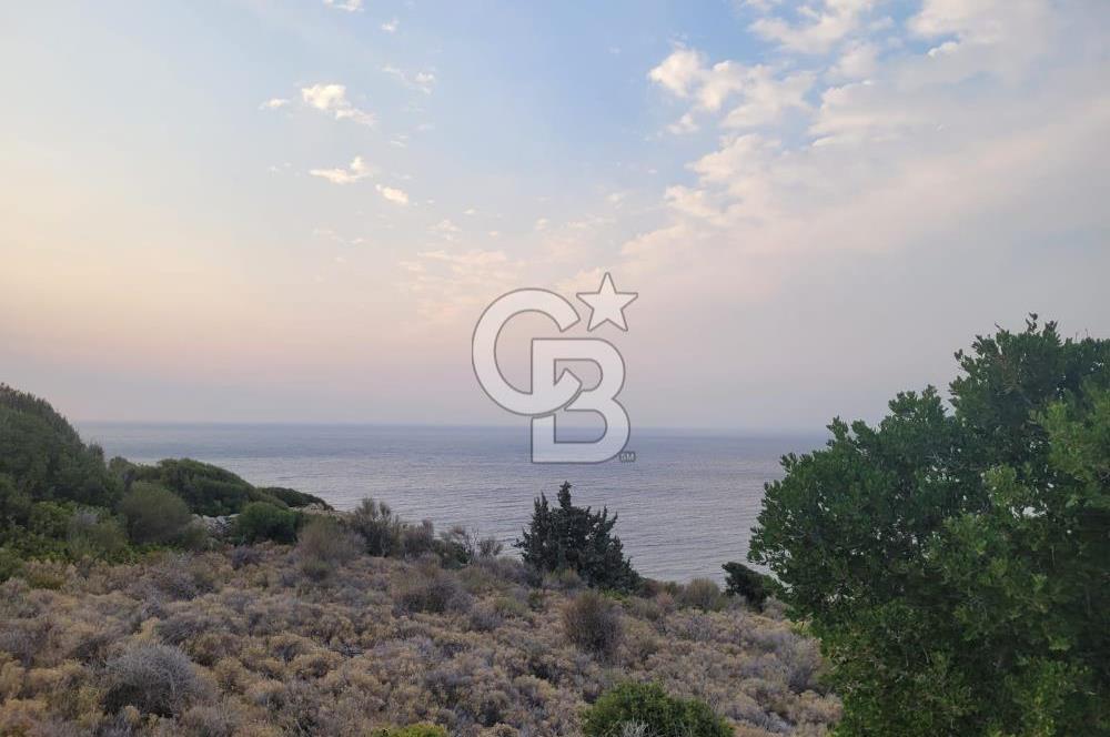 Karaburun Tepeboz da Satılık Full Deniz Manzaralı Tarla