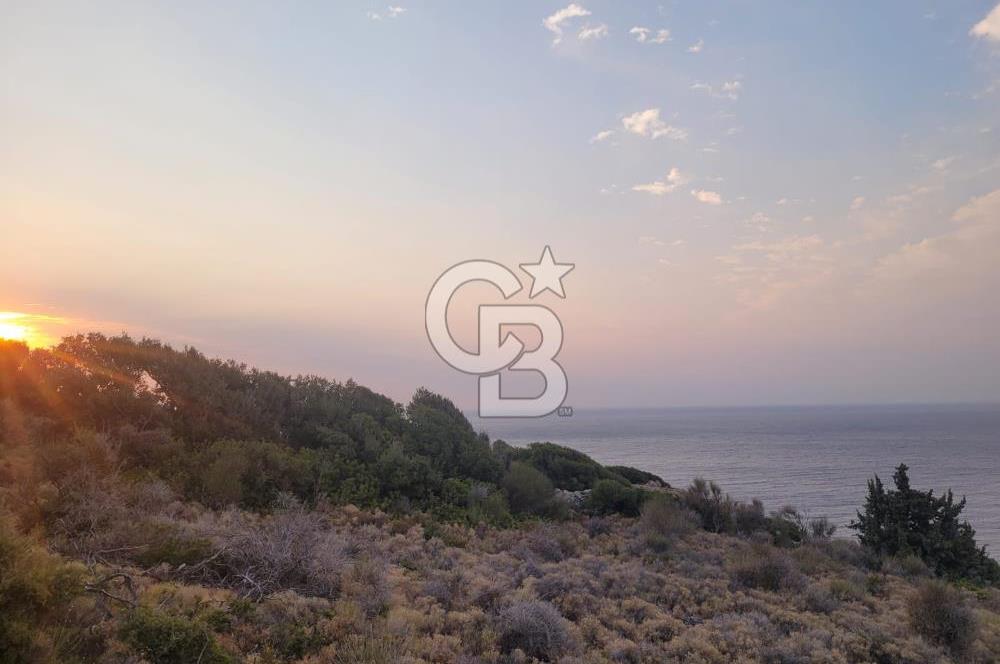 Karaburun Tepeboz da Satılık Full Deniz Manzaralı Tarla