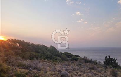 Karaburun Tepeboz da Satılık Full Deniz Manzaralı Tarla