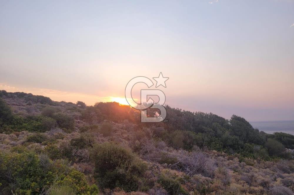 Karaburun Tepeboz da Satılık Full Deniz Manzaralı Tarla