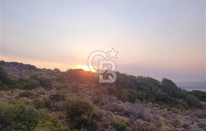 Karaburun Tepeboz da Satılık Full Deniz Manzaralı Tarla