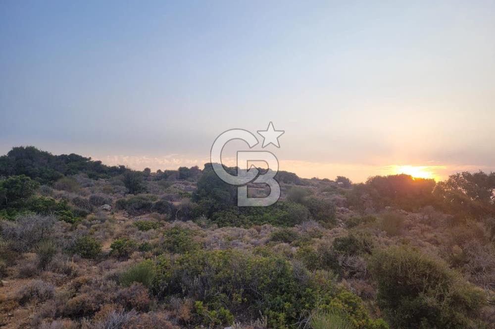 Karaburun Tepeboz da Satılık Full Deniz Manzaralı Tarla